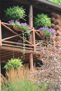 hanging baskets